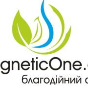MagneticOne.org
